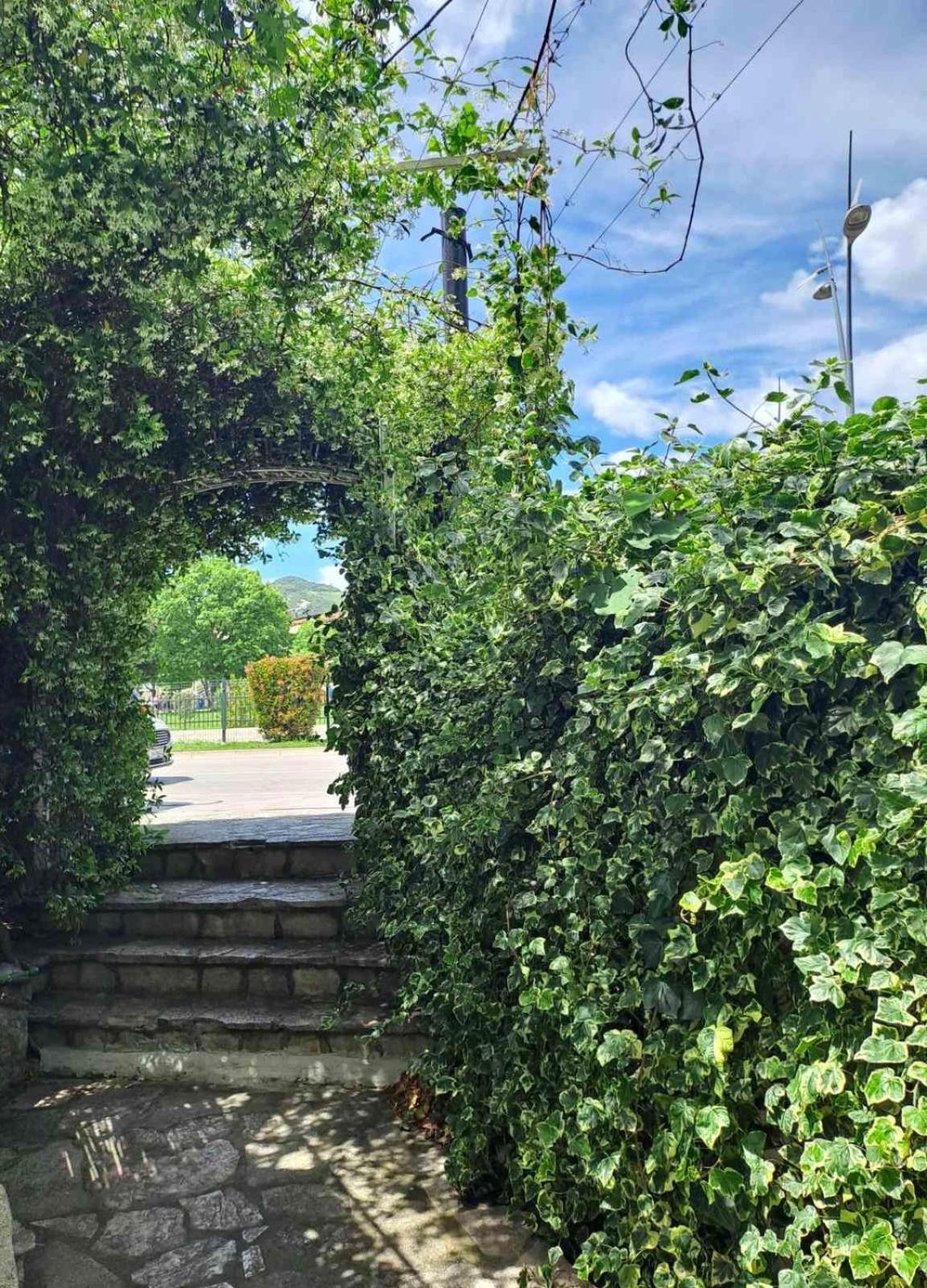 Apartmani Simona Budva Dış mekan fotoğraf